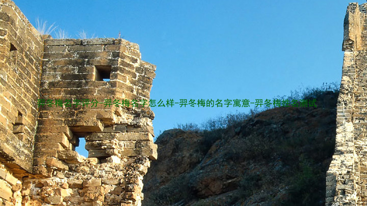 羿冬梅名字评分-羿冬梅名字怎么样-羿冬梅的名字寓意-羿冬梅姓名测试