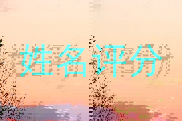 姓名评分