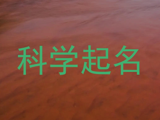 科学起名