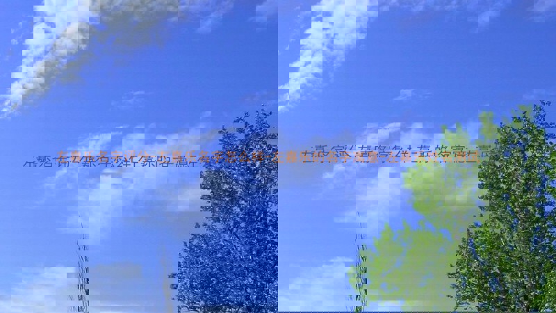 左嘉乐名字评分-左嘉乐名字怎么样-左嘉乐的名字寓意-左嘉乐姓名测试