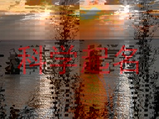 科学起名