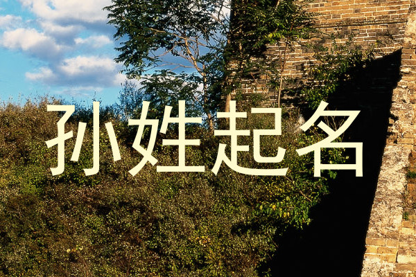 孙姓起名