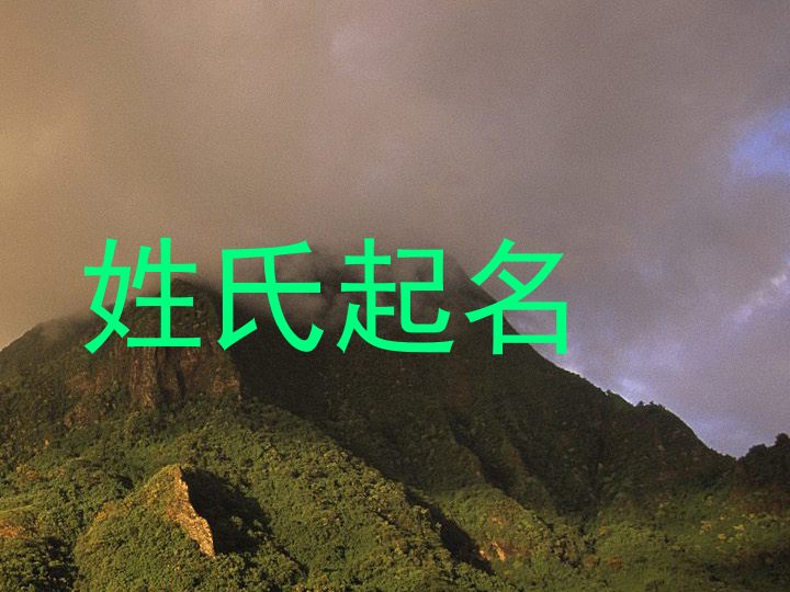 姓氏起名