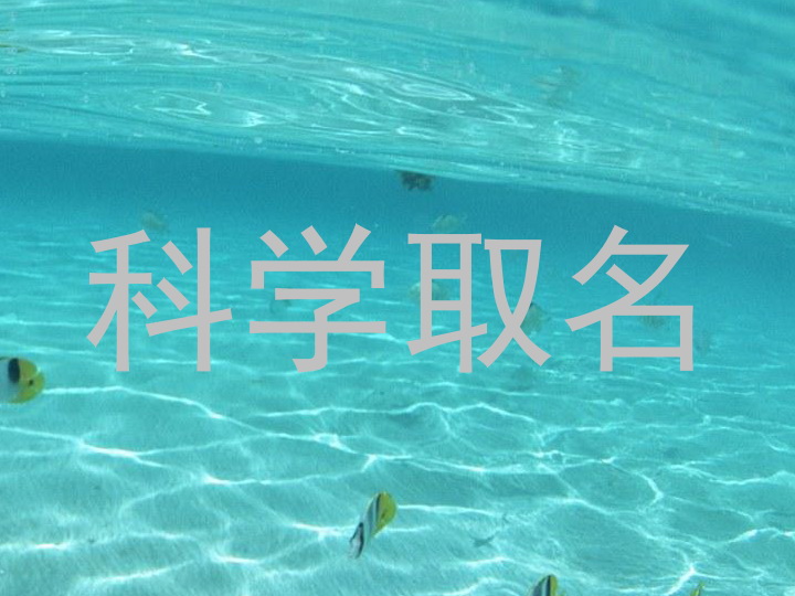 科学取名