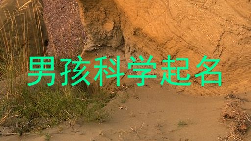 男孩科学起名
