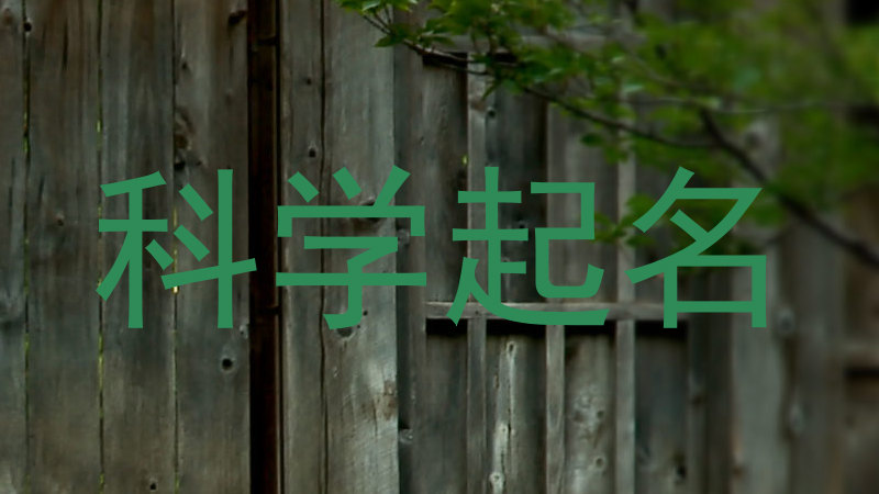 科学起名