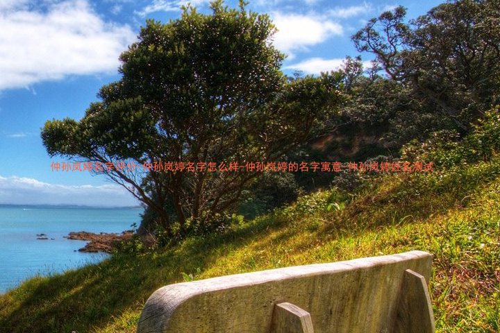 仲孙岚婷名字评分-仲孙岚婷名字怎么样-仲孙岚婷的名字寓意-仲孙岚婷姓名测试