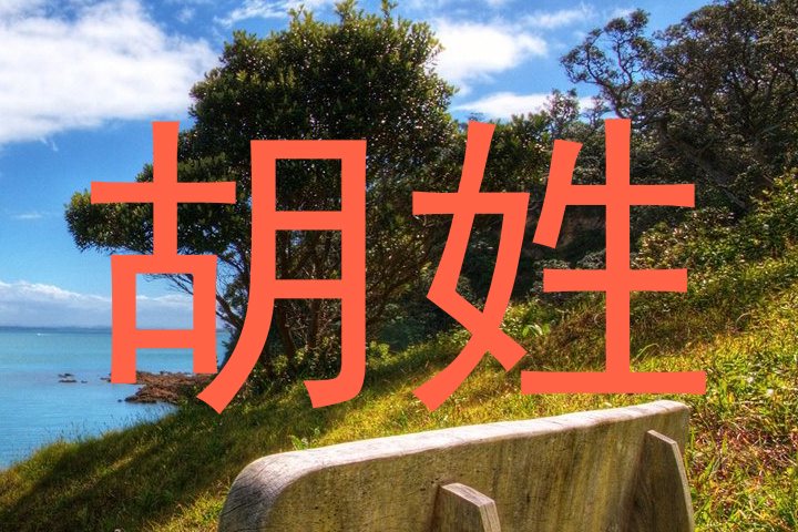 胡姓