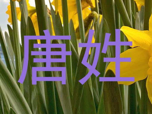 唐姓