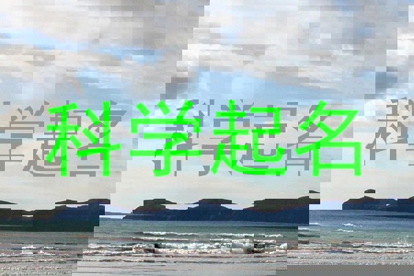 科学起名