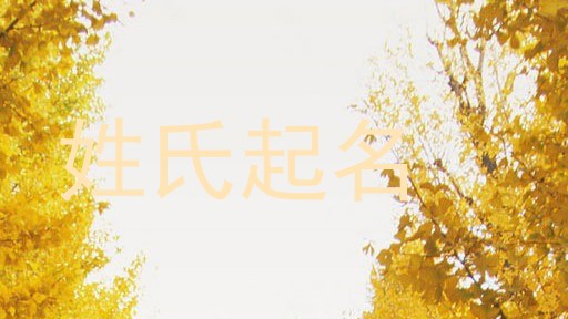 姓氏起名