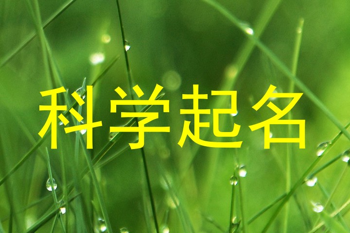 科学起名