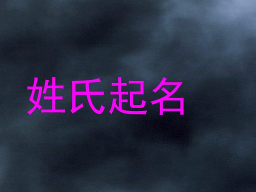 赵姓
