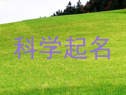 科学起名
