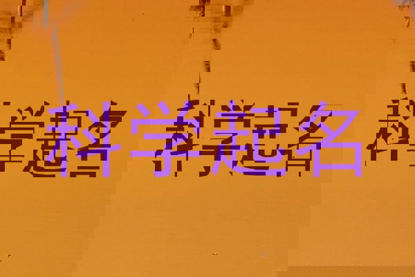 科学起名