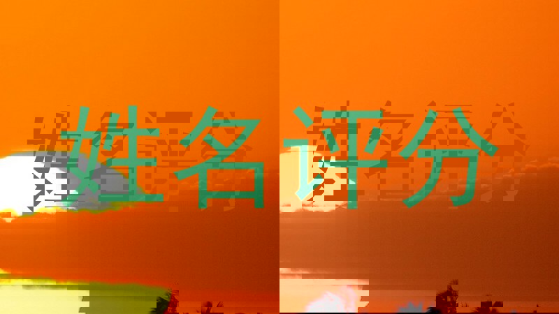 姓名评分