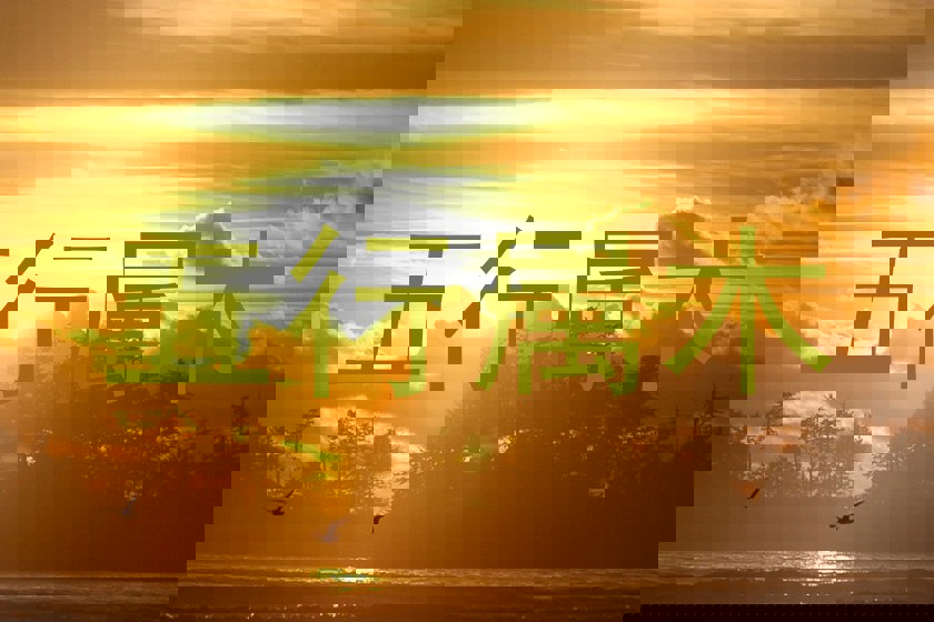 五行属木
