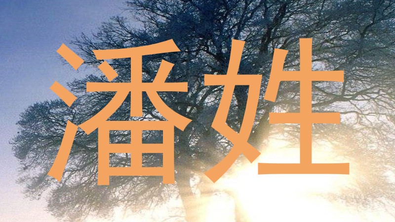 潘姓