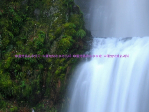 申屠楚铭名字评分-申屠楚铭名字怎么样-申屠楚铭的名字寓意-申屠楚铭姓名测试