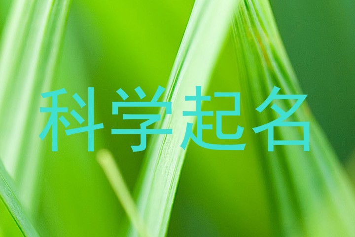 科学起名