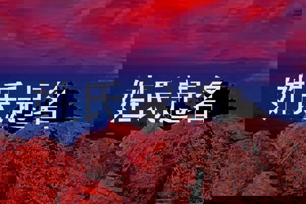 姓氏起名