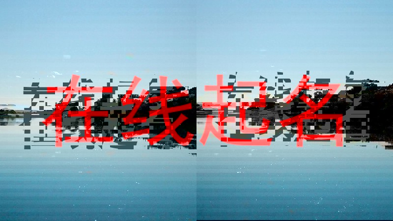 在线起名