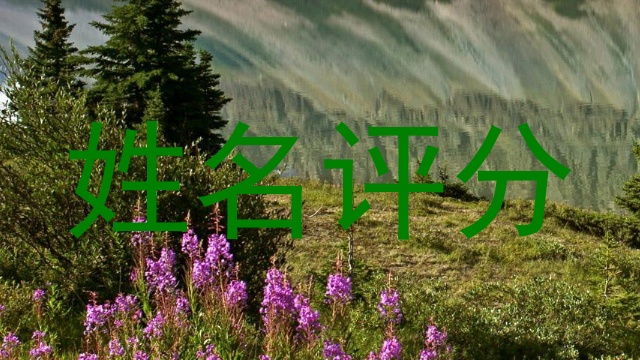 姓名评分