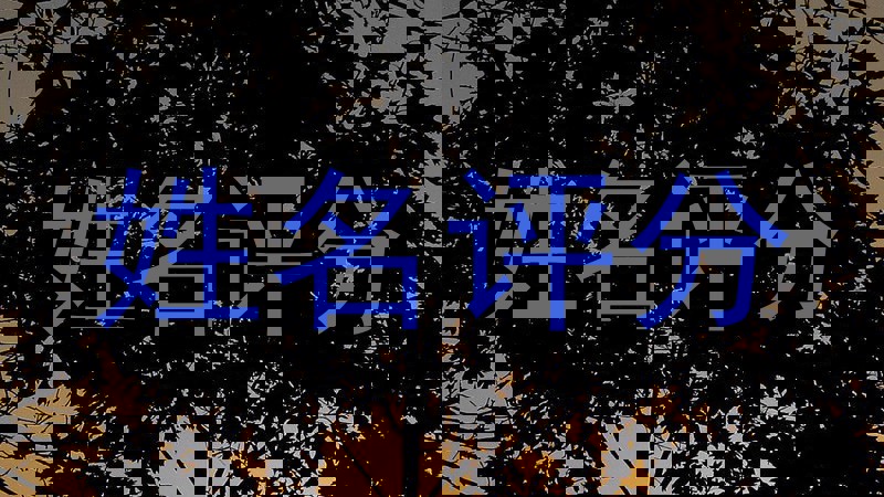 廉欣越