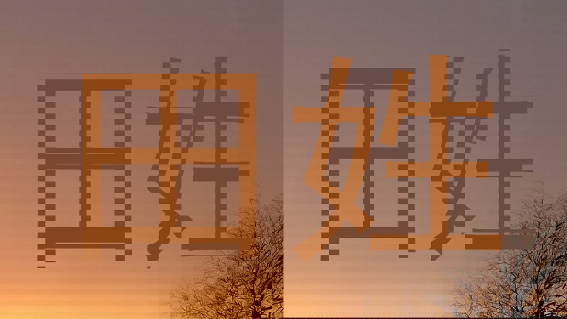 田姓
