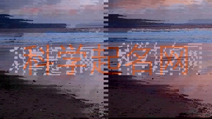 科学起名网