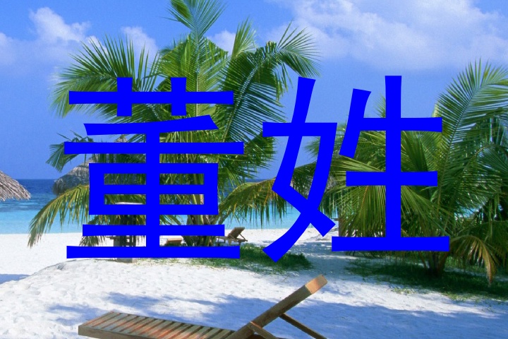 董姓