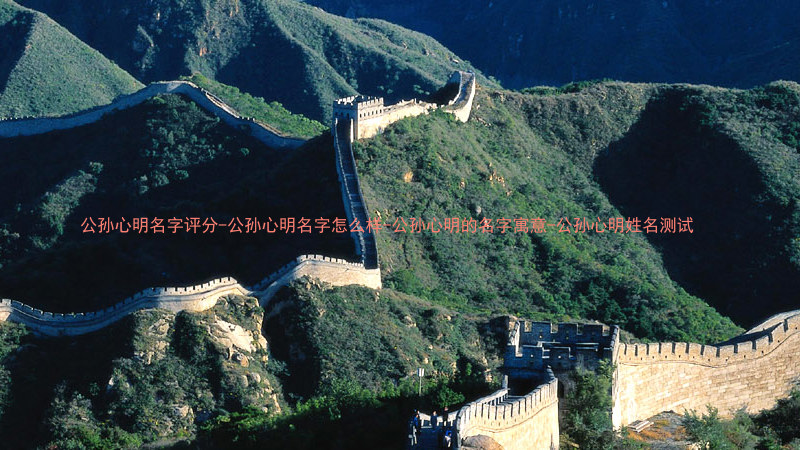 公孙心明名字评分-公孙心明名字怎么样-公孙心明的名字寓意-公孙心明姓名测试