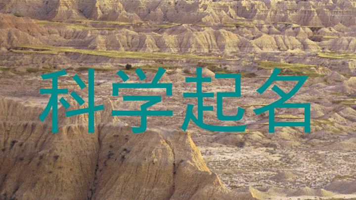 科学起名