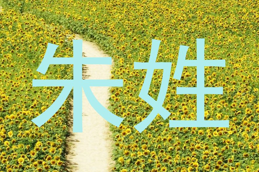 朱姓