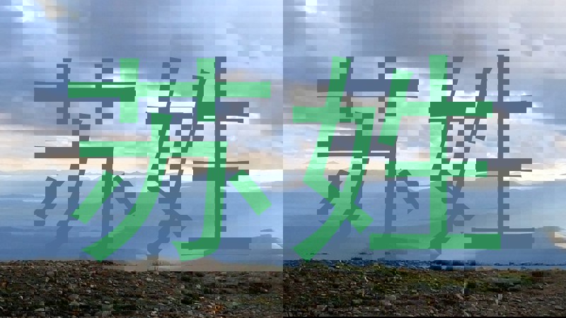 苏姓