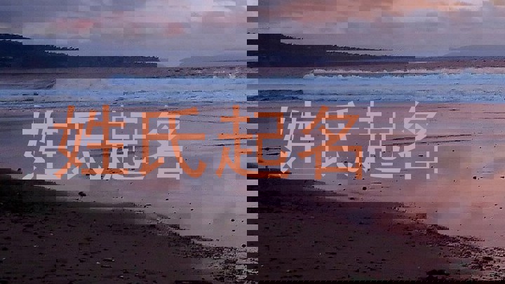 姓氏起名
