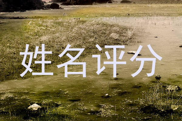 姓名评分
