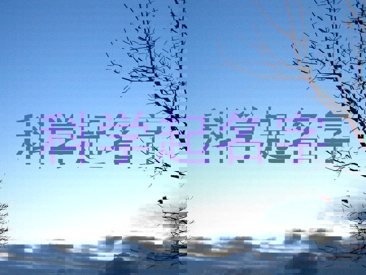 科学起名字