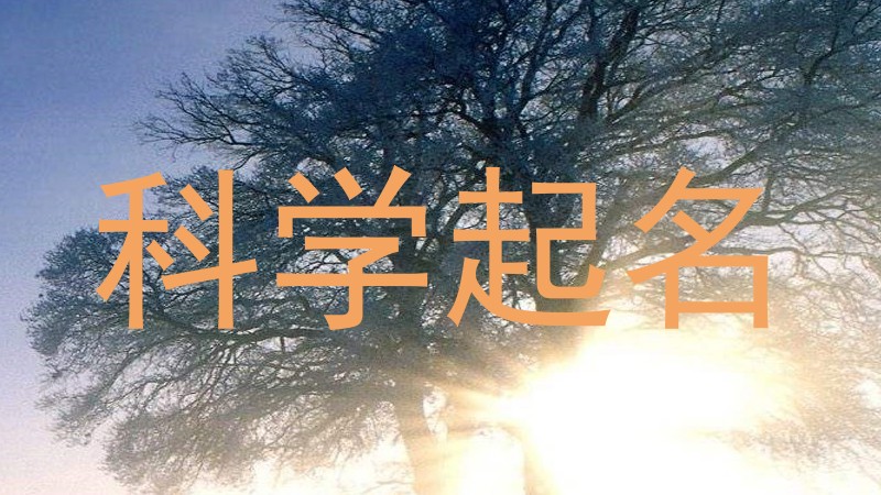 科学起名