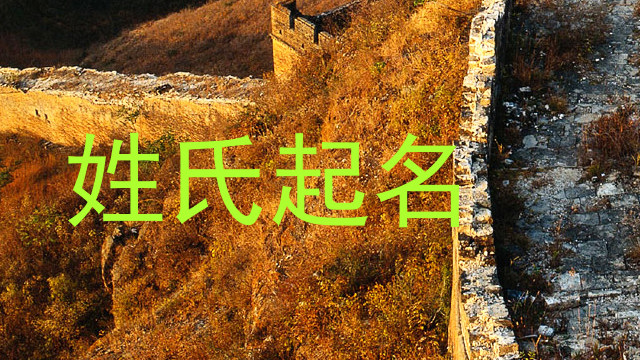 姓氏起名