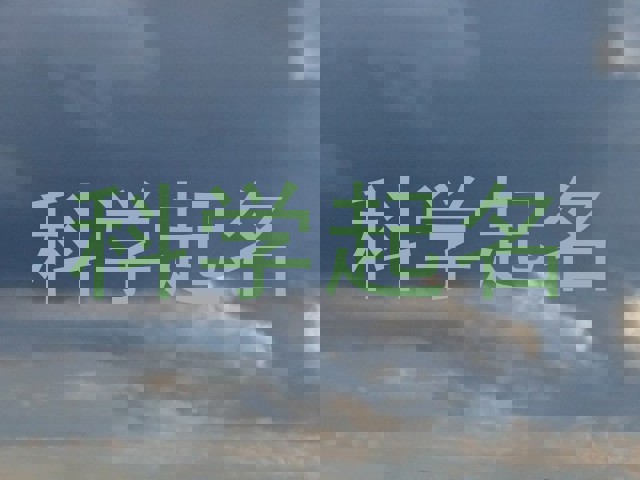 科学起名