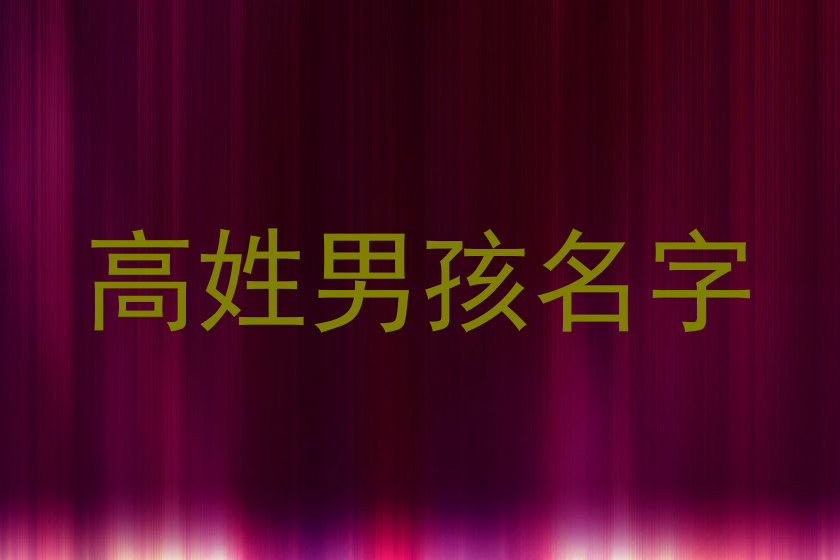 高姓男孩名字