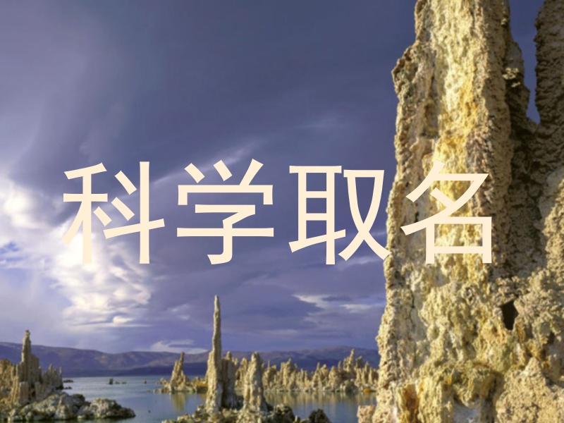 科学取名