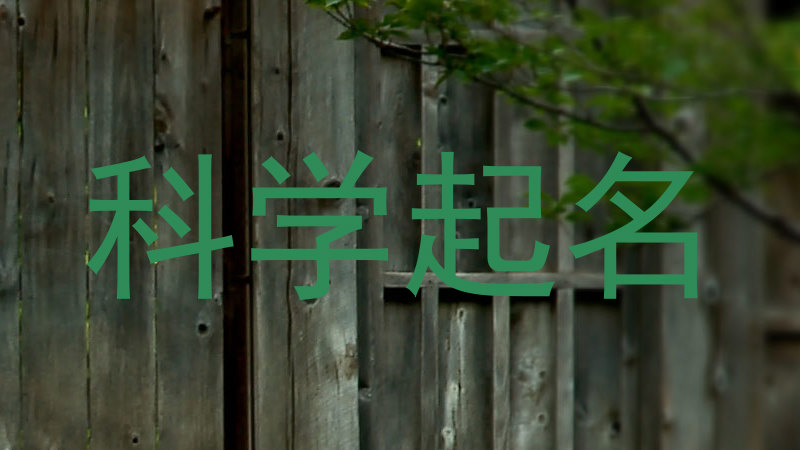 科学起名