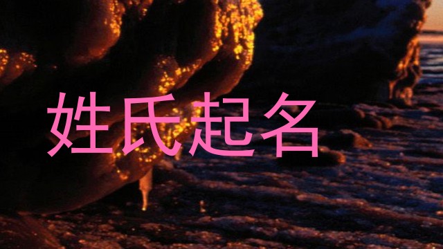 姓氏起名