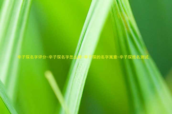 辛子琛名字评分-辛子琛名字怎么样-辛子琛的名字寓意-辛子琛姓名测试