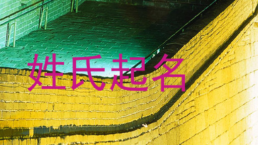 姓氏起名