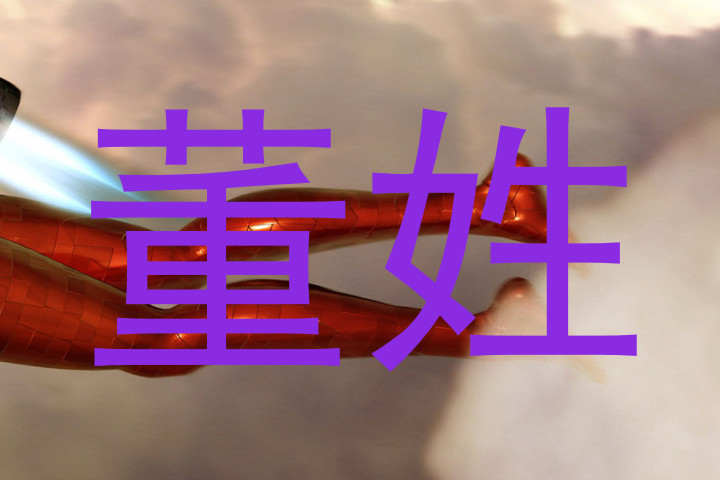 董姓