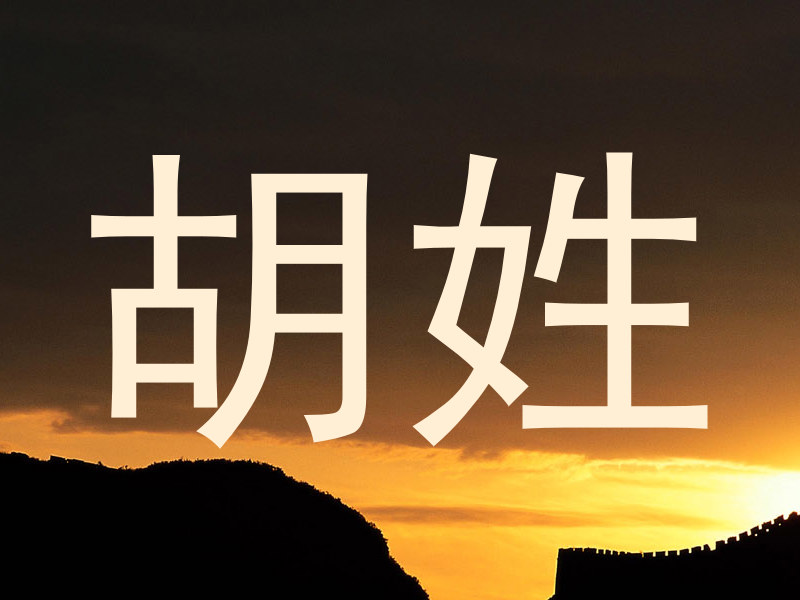 胡姓
