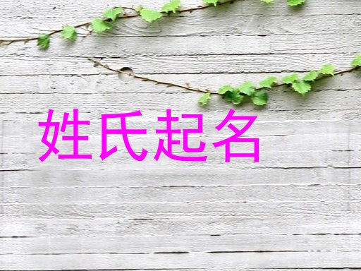 姓氏起名